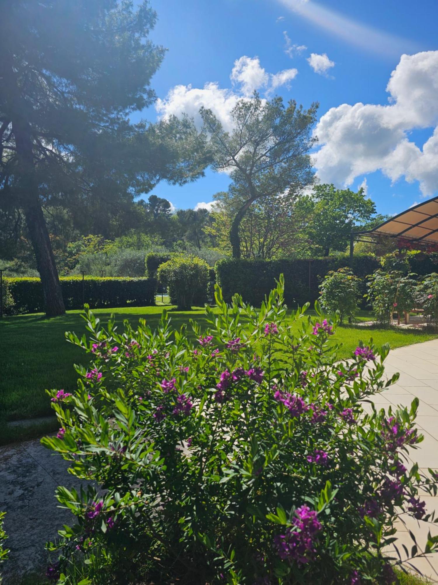 Villa Monacelli B&B Fano Exterior photo